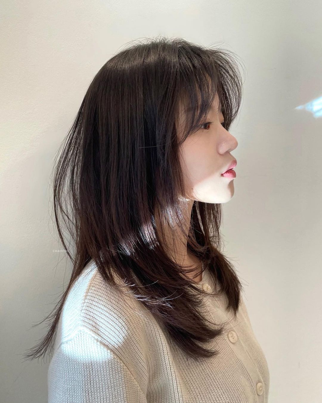 Asian Long Cut with Swoopy Layers