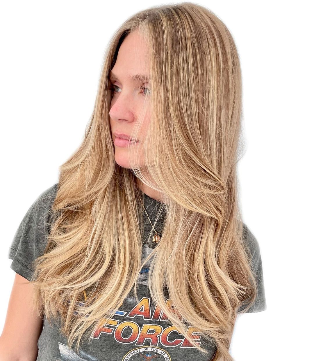 Long Fine Hair with Highlights and Lowlights